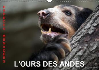 Couverture du livre « Sur la piste de l ours des and » de Philippe Henry aux éditions Calvendo