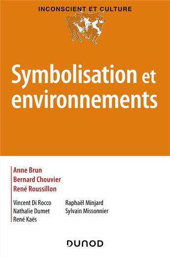 Couverture du livre « Symbolisation et environnements » de Anne Brun et Nathalie Dumet et Vincent Di Rocco et Rene Roussillon aux éditions Dunod