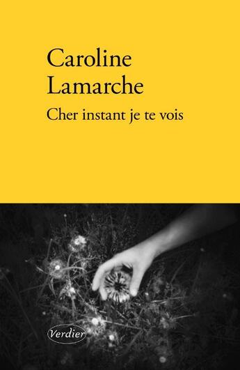 Couverture du livre « Cher instant je te vois » de Caroline Lamarche aux éditions Verdier