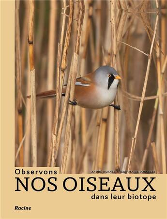 Couverture du livre « Observons nos oiseaux dans leur biotope : plus de 200 espèces repertoriées » de Andre Burnel et Jean-Marie Poncelet aux éditions Editions Racine