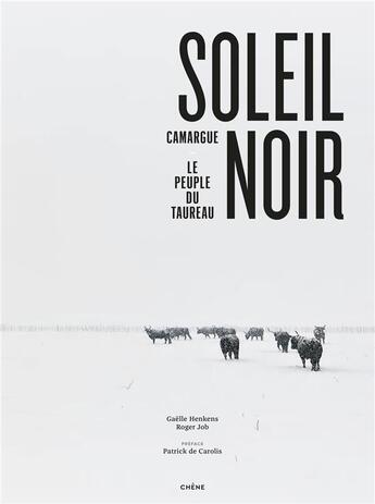 Couverture du livre « Soleil noir » de Job Roger aux éditions Chene