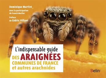 Couverture du livre « L'indispensable guide des araignées de France et autres arachnides » de Dominique Martire et Franck Merlier aux éditions Belin