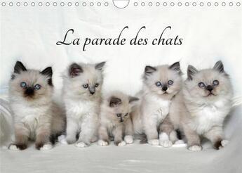 Couverture du livre « La parade des chats (Calendrier mural 2020 DIN A4 horizontal) ; Mois après mois, un nouveau cercle de petits chats mignons. (Calendrier mensuel, 14 Pages ) » de Jennifer Chrystal aux éditions Calvendo