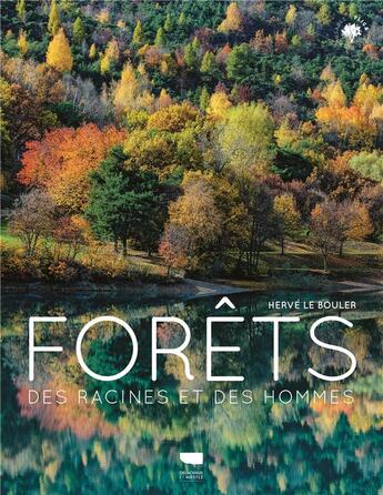 Couverture du livre « Forêts : des racines et des hommes » de Herve Le Bouler aux éditions Delachaux & Niestle