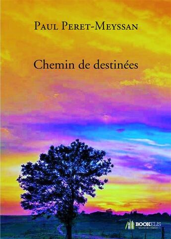 Couverture du livre « Chemin de destinées » de Paul Peret-Meyssan aux éditions Bookelis