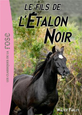 Couverture du livre « L'étalon noir t.4 ; le fils de l'étalon noir » de Walter Farley et Steven Farley aux éditions Hachette Jeunesse