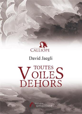 Couverture du livre « Toutes voiles dehors » de David Jaegli aux éditions Amalthee