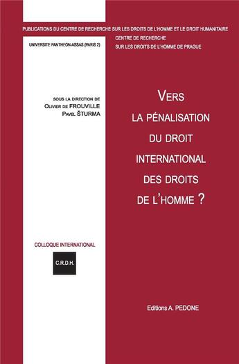 Couverture du livre « Vers la pénalisation du droit international des droits de l'homme » de Oliver De Frouville et Pavel Sturma aux éditions Pedone