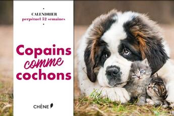 Couverture du livre « Calendrier 52 semaines copains comme cochons » de  aux éditions Chene