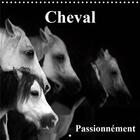 Couverture du livre « Le cheval la plus belle conque » de Didier Sibourg aux éditions Calvendo