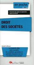 Couverture du livre « Droit des sociétés ; panorama des règles en application après la loi PACTE » de David Calfoun aux éditions Gualino