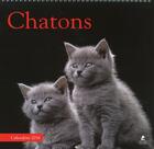 Couverture du livre « Chatons ; calendrier 2016 » de  aux éditions Place Des Victoires