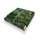 Couverture du livre « Feuillages : l'art et les puissances du végétal » de Clelia Nau aux éditions Hazan