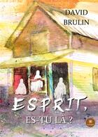 Couverture du livre « Esprit, es-tu là ? » de David Brulin aux éditions Le Lys Bleu