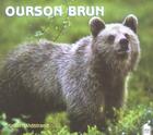 Couverture du livre « Ourson brun » de Widstrand. Staf aux éditions Poles D'images