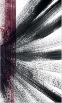 Couverture du livre « Triptyque chromatique t.1 : polychromes » de Olivier Collin Dufresne aux éditions Les Editions Du Chat Bleu