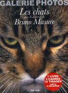 Couverture du livre « Ma galerie photos ; les chats » de  aux éditions Hugo Image