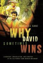 Couverture du livre « Why david sometimes wins: leadership, organization, and strategy in th » de Ganz Marshall aux éditions Editions Racine