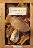 Couverture du livre « Champignons » de Panafieu J-B. aux éditions Plume De Carotte