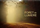 Couverture du livre « Foret de lumiere calendrier mural 2018 din a4 horizontal - magie de l ombre et de la lumi » de Guillaume D aux éditions Calvendo