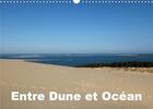 Couverture du livre « Entre dune et ocean calendrier mural 2020 din a3 horizontal - entre la majestueuse dune du p (édition 2020) » de Hanel Photogr aux éditions Calvendo