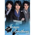 Couverture du livre « Jonas brothers » de Scott Susan aux éditions Volum