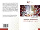 Couverture du livre « Expansion des monnaies mobiles: enjeux et risques » de Florian-Joel Tchehi aux éditions Editions Universitaires Europeennes