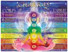 Couverture du livre « Planche des 7 chakras » de  aux éditions Dg-exodif