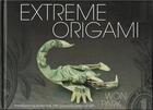 Couverture du livre « Extreme origami » de Park aux éditions Rockport
