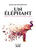 Couverture du livre « Un éléphant dans un magasin de porcelaine » de Benjamin Desmoulin aux éditions Les Trois Colonnes