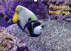 Couverture du livre « Poissons tropicaux (édition 2020) » de Patrick Casaert aux éditions Calvendo