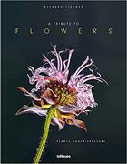 Couverture du livre « A tribute to flowers /anglais » de  aux éditions Teneues Verlag