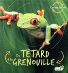 Couverture du livre « Du tétard à la grenouille » de Camilla De La Bedoyere aux éditions Grenouille
