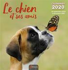 Couverture du livre « Calendrier chien et ses amis (2020) » de  aux éditions Artemis