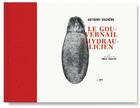 Couverture du livre « Le gouvernail hydraulicien » de Duchene/Soulier aux éditions Editions B42