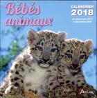 Couverture du livre « Bébés animaux (édition 2018) » de  aux éditions Artemis