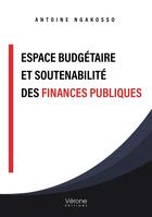 Couverture du livre « Espace budgétaire et soutenabilité des finances publiques » de Antoine Ngakosso aux éditions Verone