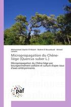 Couverture du livre « Micropropagation du Chêne-liège (Quercus suber L.) : Micropropagation du Chêne-liège par bourgeonnement axillaire et culture d'apex issus d'axes embryonn » de Ahmed Lamarti et Mohammed L'Bachir El Kbiach et Brahim El Bouzdoudi aux éditions Editions Universitaires Europeennes