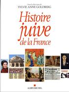 Couverture du livre « Histoire juive de la France » de Sylvie-Anne Goldberg et . Collectif aux éditions Albin Michel
