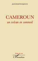 Couverture du livre « Cameroun ; un volcan en sommeil » de Jean-Célestin Edjangue aux éditions L'harmattan