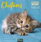 Couverture du livre « Calendrier chatons (2020) » de  aux éditions Artemis