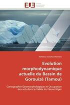 Couverture du livre « Evolution morphodynamique actuelle du bassin de gorouize (tamou) - cartographie geomorphologique et » de Issoufou Mamane H. aux éditions Editions Universitaires Europeennes