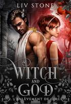 Couverture du livre « Witch and God Tome 2 : L'enlèvement de Circé » de Liv Stone aux éditions Hlab