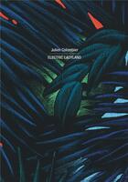 Couverture du livre « Julien Colombier. electric ladyland » de Sumiko Oe-Gottini aux éditions Lienart