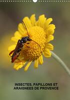 Couverture du livre « Les insectes papillons et arai » de Martine Julien aux éditions Calvendo