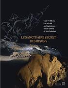 Couverture du livre « Le sanctuaire secret des bisons ; il y a 14 000 ans, l'art et la vie des magdaléniens dans la caverne du Tuc d'Audoubert » de  aux éditions Somogy