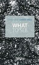 Couverture du livre « What to see » de Lamiot Christophe aux éditions Pu De Rouen