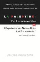 Couverture du livre « La Palestine : d'un état non membre de l'Organisation des Nations Unies a un état souverain ? » de Thierry Garcia aux éditions Pedone