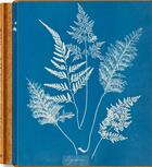 Couverture du livre « Anna Atkins : cyanotypes » de Peter Walther aux éditions Taschen