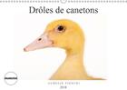 Couverture du livre « Droles de canetons calendrier mural 2018 din a3 horizontal - d adorables canetons calendrie » de Fieschi A aux éditions Calvendo